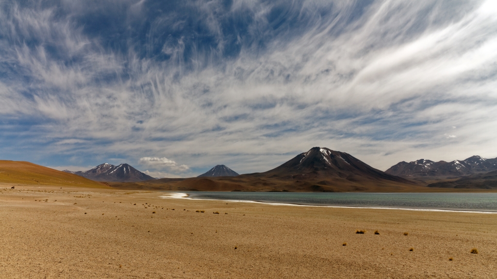 01 - Désert d'Atacama (6) -Laguna Miscanti.jpg